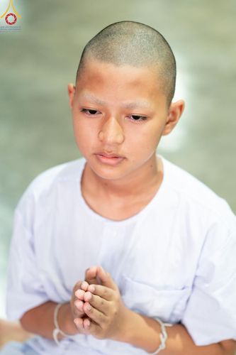 ภาพ No.133650:นาคธรรมทายาทปฏิบัติธรรมก่อนบวช ในโครงการบรรพชาสามเณร ฟื้นฟูพระพุทธศาสนาทั่วไทย ศูนย์อบรมวัดพระธรรมกาย วันที่ 3 เมษายน พ.ศ. 2567