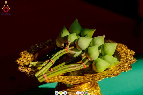 ภาพ No.276486:วันพุธที่ 3 ธันวาคม  พ.ศ. 2568 โครงการอุปสมบทหมู่ รุ่นบูชาธรรมมหาปูชนียาจารย์ 2568 ศูนย์อบรมเยาวชนผาสุกวานิช จังหวัดราชบุรี