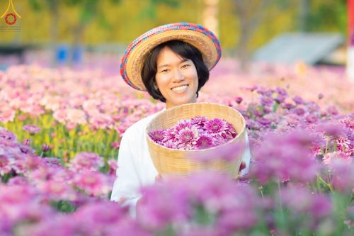 ภาพ No.102895:สาธุชนร่วมรับบุญเก็บดอกเบญจทรัพย์ ในวันที่ 19 ธันวาคม พ.ศ. 2566 (วันแรก) ณ บริเวณวัดพระธรรมกาย จ.ปทุมธานี