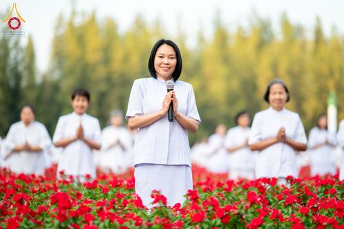 ภาพ No.185440:กิจกรรมเก็บดอกแพงรวย วันอาทิตย์ที่ 22 ธันวาคม พ.ศ. 2567 ณ ทุ่งสวรรค์ ตะวันฉาย วัดพระธรรมกาย