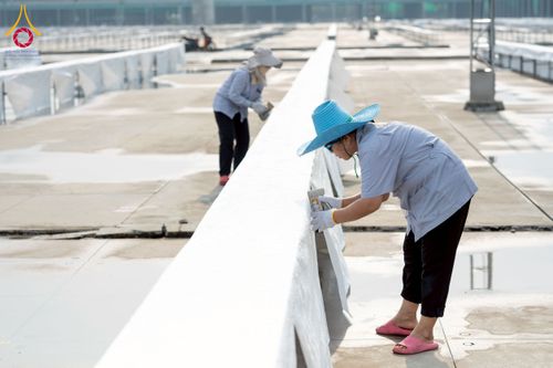 ภาพ No.217711:วันที่ 10-14 เมษายน พ.ศ. 2568 เจ้าหน้าที่อาสาสมัคร เตรียมงานวันคุ้มครองโลก ชุดที่ 2 วัดพระธรรมกาย จ.ปทุมธานี