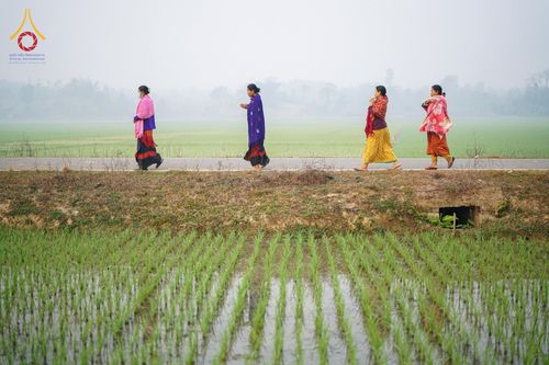 ภาพ No.76358:คณะสงฆ์และสามเณรบิณฑบาต ประเทศบังกลาเทศ วันที่ 11 กุมภาพันธ์ พ.ศ. 2566