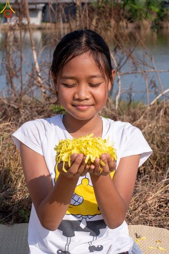 ภาพ No.116596:พิธีต้อนรับพระธรรมยาตรา ปีที่ 12 ณ อนุสรณ์สถานบางปลา จ.นครปฐม วันที่ 21 มกราคม พ.ศ. 2567
