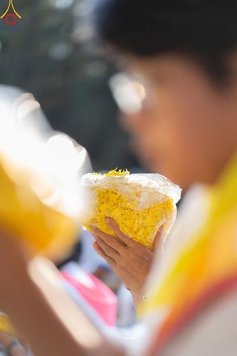 ภาพ No.188734:พิธีต้อนรับพระธรรมยาตรา ในโครงการธรรมยาตรา กตัญญูบูชา มหาปูชนียาจารย์ พระมงคลเทพมุนี(สด จนฺทสโร) พระผู้ปราบมาร อนุสรณ์สถาน 7 แห่ง ปีที่ 13 วันที่ 3 มกราคม พ.ศ. 2568 ณ อนุสรณ์สถานมหาวิหารพระมงคลเทพมุนี (โลตัสแลนด์) อ.สองพี่น้อง จ.สุพรรณบุรี