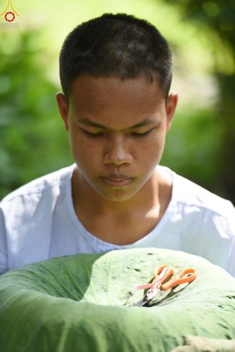 ภาพ No.90964:โครงการบรรพชาสามเณร ศูนย์ปฏิบัติธรรมบุญประสาน จ.นครราชสีมา ระหว่างวันที่ 11 - 31 ตุลาคม พ.ศ. 2566