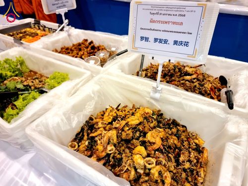 ภาพ No.204402:พิธีถวายภัตตาหารเป็นสังฆทาน แด่พระธรรมยาตรา ณ วัดพระธรรมกาย ตำบลคลองสาม อำเภอคลองหลวง จังหวัดปทุมธานี ในโครงการธรรมยาตรา กตัญญูบูชา มหาปูชนียาจารย์ พระมงคลเทพมุนี(สด จนฺทสโร) พระผู้ปราบมาร อนุสรณ์สถาน 7 แห่ง ปีที่ 13 วันที่ 31 มกราคม พ.ศ. 2568