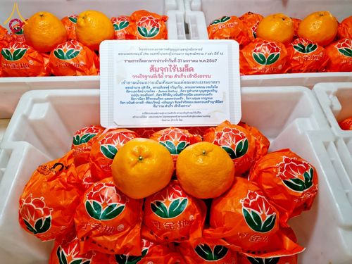 ภาพ No.121679:พิธีถวายภัตตาหารเป็นสังฆทาน แด่คณะพระธรรมยาตรา ปีที่ 12 วันที่ 31 มกราคม พ.ศ. 2567 ณ สภาธรรมกายสากล วัดพระธรรมกาย