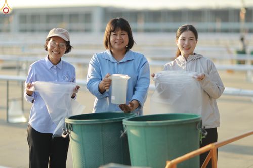 ภาพ No.320422:วันที่ 9 เมษายน พ.ศ.2569 การเตรียมงาน มัดถุงน้ำ ถ่วงขาโต๊ะไทยธรรม เพื่องานถวายมหาสังฆทาน 40,000 กว่าวัดทั่วประเทศ วันคุ้มครองโลก 22 เมษายน พ.ศ.2569 วัดพระธรรมกาย