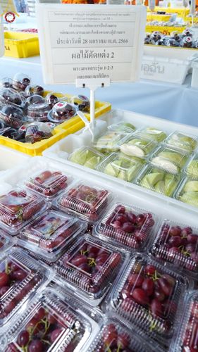 ภาพ No.74681:พิธีถวายภัตตาหารเป็นสังฆทาน แด่คณะพระธรรมยาตราฯ ในโครงการธรรมยาตรากตัญญูบูชา มหาปูชนียาจารย์ พระมงคลเทพมุนี(สด จนฺทสโร) พระผู้ปราบมาร อนุสรณ์สถาน 7 แห่ง ปีที่ 11 วันที่ 28 มกราคม พ.ศ. 2566