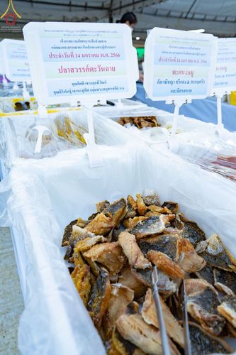 ภาพ No.71192:พิธีถวายภัตตาหารเป็นสังฆทาน แด่คณะพระธรรมยาตราฯ ในโครงการธรรมยาตราฯ ปีที่ 11 ณ อนุสรณ์สถานคลองบางนางแท่น อ.สามพราน จ.นครปฐม วันที่ 14 มกราคม พ.ศ. 2566