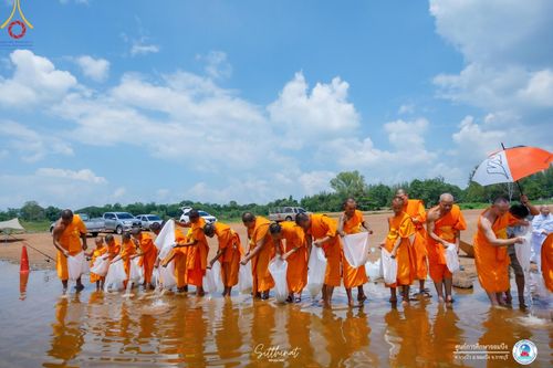 ภาพ No.161197:พิธีถวายมหาสังฆทาน 31 วัด , พิธีบุพเปตพลี , พิธีไถ่ชีวิตโค และ ปล่อยพันธ์ุปลาจำนวน 50,000 ชีวิต ณ ศูนย์การศึกษาจอมบึง ต.รางบัว อ.จอมบึง จ.ราชบุรี วันที่ 28 กันยายน พ.ศ. 2567