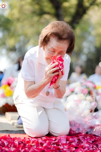 ภาพ No.286831:วันที่ 2 มกราคม พ.ศ.2569 พิธีต้อนรับพระธรรมยาตรา ครั้งที่ 1 (ภาพชุดที่ 2) ณ วัดพระธรรมกาย (วิหารหลวงปู่ - พระมหาธรรมกายเจดีย์)