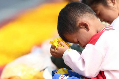 ภาพ No.9626:ประมวลภาพธุดงค์ธรรมชัย ปีที่ 3 วันที่ 4 มกราคม พ.ศ.2557