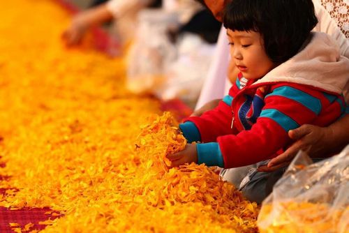 ภาพ No.9643:ประมวลภาพธุดงค์ธรรมชัย ปีที่ 3 วันที่ 4 มกราคม พ.ศ.2557