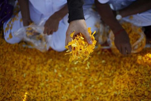 ภาพ No.9981:ประมวลภาพธุดงค์ธรรมชัย ปีที่ 3 วันที่ 11 มกราคม พ.ศ.2557