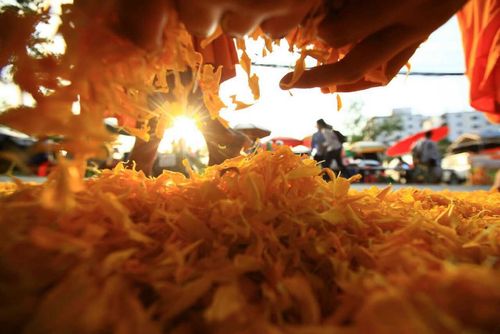 ภาพ No.10072:ประมวลภาพธุดงค์ธรรมชัย ปีที่ 3 วันที่ 13 มกราคม พ.ศ.2557