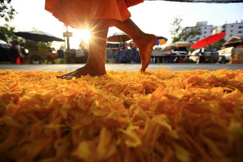 ภาพ No.10075:ประมวลภาพธุดงค์ธรรมชัย ปีที่ 3 วันที่ 13 มกราคม พ.ศ.2557