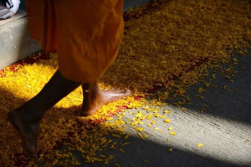 ภาพ No.10132:ประมวลภาพธุดงค์ธรรมชัย ปีที่ 3 วันที่ 14 มกราคม พ.ศ.2557