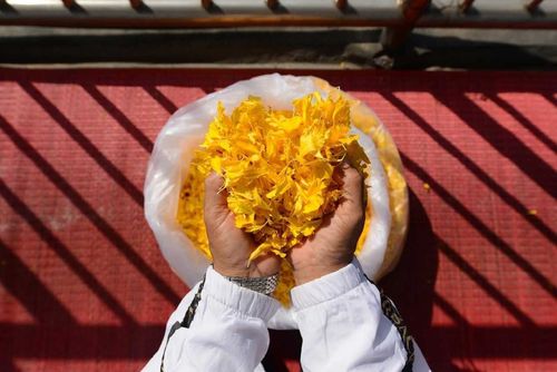 ภาพ No.10192:ประมวลภาพธุดงค์ธรรมชัย ปีที่ 3 วันที่ 16 มกราคม พ.ศ.2557