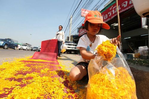 ภาพ No.10194:ประมวลภาพธุดงค์ธรรมชัย ปีที่ 3 วันที่ 16 มกราคม พ.ศ.2557