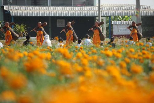 ภาพ No.10238:ประมวลภาพธุดงค์ธรรมชัย ปีที่ 3 วันที่ 17 มกราคม พ.ศ.2557