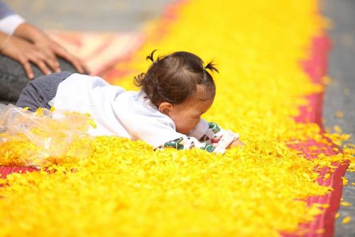 ภาพ No.10246:ประมวลภาพธุดงค์ธรรมชัย ปีที่ 3 วันที่ 17 มกราคม พ.ศ.2557