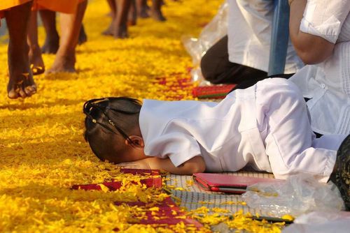 ภาพ No.10253:ประมวลภาพธุดงค์ธรรมชัย ปีที่ 3 วันที่ 17 มกราคม พ.ศ.2557