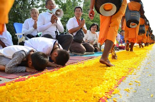 ภาพ No.10365:ประมวลภาพธุดงค์ธรรมชัย ปีที่ 3 วันที่ 19 มกราคม พ.ศ.2557