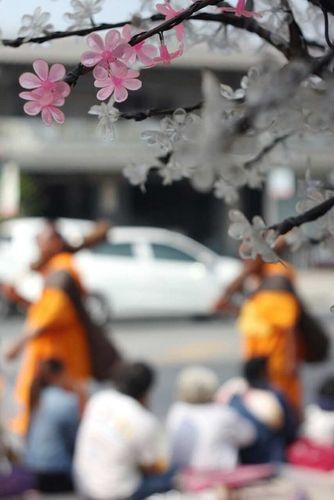 ภาพ No.10371:ประมวลภาพธุดงค์ธรรมชัย ปีที่ 3 วันที่ 19 มกราคม พ.ศ.2557