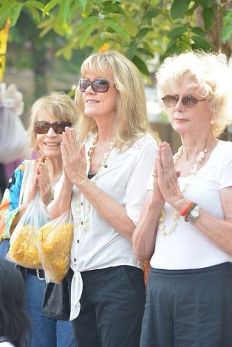 ภาพ No.11005:ประมวลภาพธุดงค์อัญเชิญพระบรมธาตุใจกลางเมืองเชียงใหม่