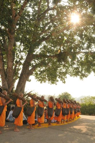 ภาพ No.11123: ธุดงค์อัญเชิญพระบรมธาตุประดิษฐาน ณ เจดีย์น้อยดอยสวรรค์ วัดแม่ขิง