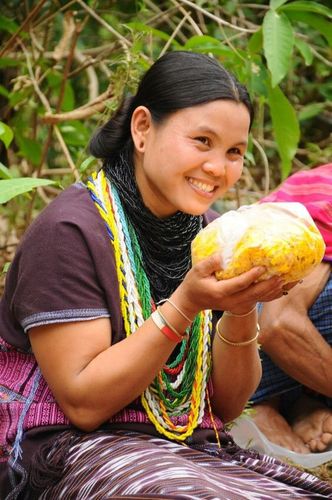 ภาพ No.11131: ธุดงค์อัญเชิญพระบรมธาตุประดิษฐาน ณ เจดีย์น้อยดอยสวรรค์ วัดแม่ขิง