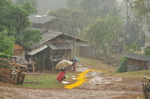 ภาพ No.11145: ธุดงค์อัญเชิญพระบรมธาตุประดิษฐาน ณ เจดีย์น้อยดอยสวรรค์ วัดแม่ขิง