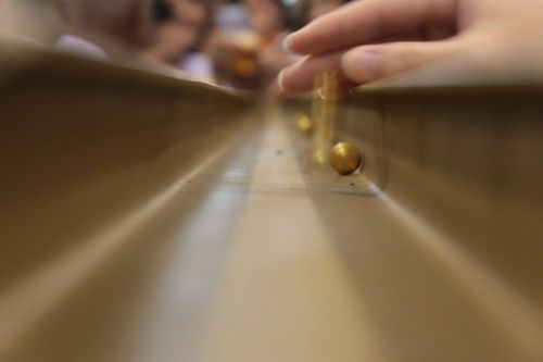 ภาพ No.11163:ประมวลภาพวันคุ้มครองโลกประจำปี 2557