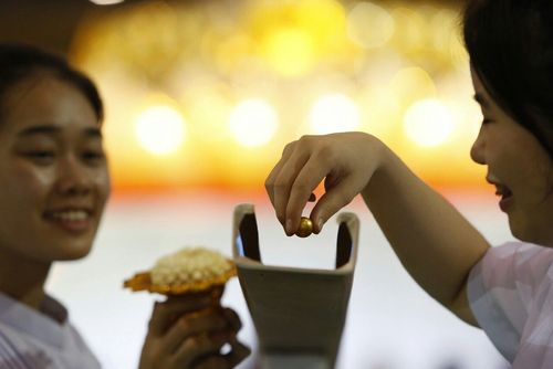 ภาพ No.11173:ประมวลภาพวันคุ้มครองโลกประจำปี 2557