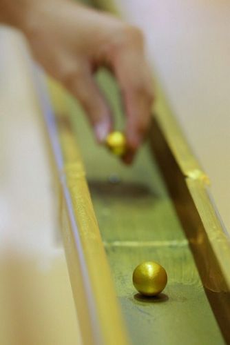 ภาพ No.11172:ประมวลภาพวันคุ้มครองโลกประจำปี 2557