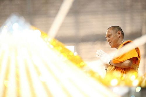 ภาพ No.11183:ประมวลภาพวันคุ้มครองโลกประจำปี 2557