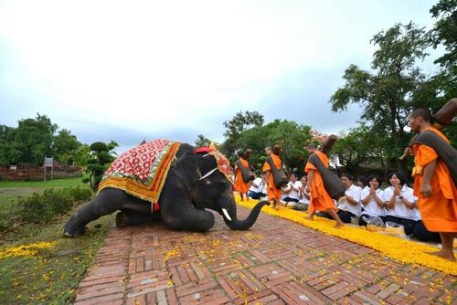 ภาพ No.11217:ประมวลภาพธุดงค์ธรรมชัยอัญเชิญพระบรมธาตุ วันที่ 7 พ.ค. 2557 จ.พระนครศรีอยุธยา