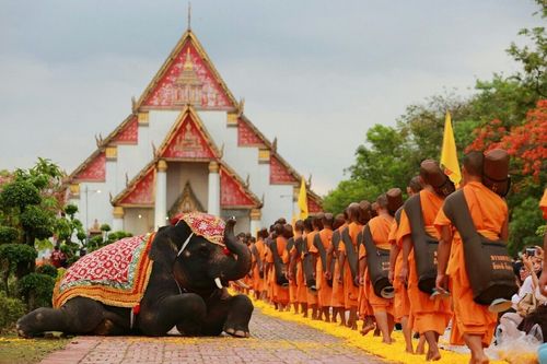 ภาพ No.11219:ประมวลภาพธุดงค์ธรรมชัยอัญเชิญพระบรมธาตุ วันที่ 7 พ.ค. 2557 จ.พระนครศรีอยุธยา