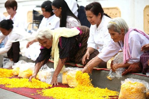 ภาพ No.11367:ประมวลภาพธุดงค์ธรรมชัยอัญเชิญพระบรมธาตุ วันที่ 9 พ.ค. 2557 จ.นครราชสีมา