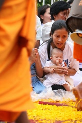 ภาพ No.11378:ประมวลภาพธุดงค์ธรรมชัยอัญเชิญพระบรมธาตุ วันที่ 9 พ.ค. 2557 จ.นครราชสีมา