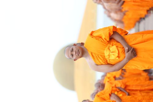 ภาพ No.36907:ถ่ายภาพหมู่ร่วมกันของพระธรรมทายาท ณ ลานธรรม