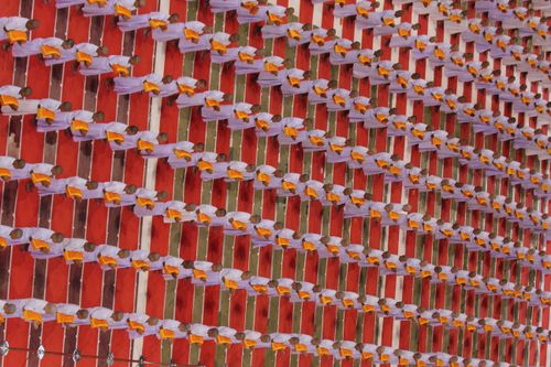 ภาพ No.36728:พิธีบรรพชา กล่าวคำขอบรรพชา และคล้องอังสะ