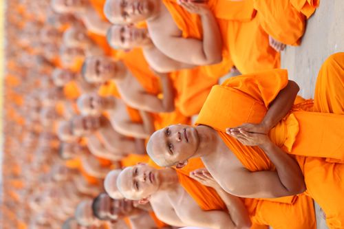 ภาพ No.36905:ถ่ายภาพหมู่ร่วมกันของพระธรรมทายาท ณ ลานธรรม