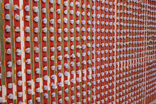 ภาพ No.36732:พิธีบรรพชา กล่าวคำขอบรรพชา และคล้องอังสะ