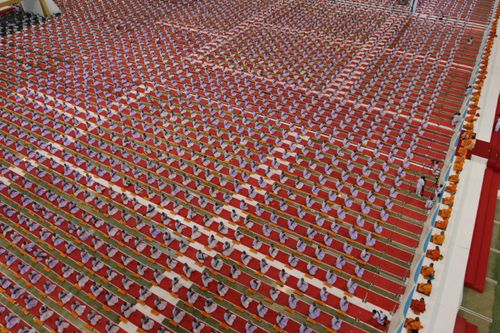 ภาพ No.36734:พิธีบรรพชา กล่าวคำขอบรรพชา และคล้องอังสะ