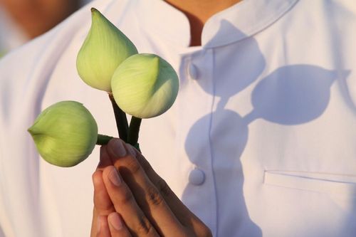 ภาพ No.11576:พิธีบรรพชาโครงการอุปสมบทหมู่ 100,000 รูป ทุกหมู่บ้านทั่วไทย ครั้งที่ 10 (รุ่นเข้าพรรษา)