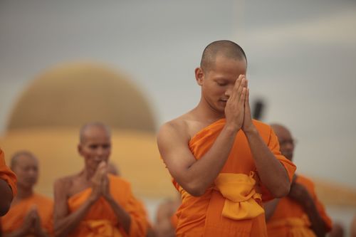 ภาพ No.36935:ถ่ายภาพหมู่ร่วมกันของพระธรรมทายาท ณ ลานธรรม