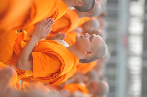 ภาพ No.36919:ถ่ายภาพหมู่ร่วมกันของพระธรรมทายาท ณ ลานธรรม