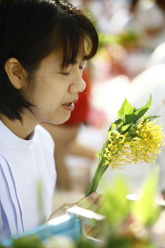 ภาพ No.11647:ประมวลภาพประเพณีตักบาตรดอกไม้ พระ 3,000 รูป ประจำปี 2557
